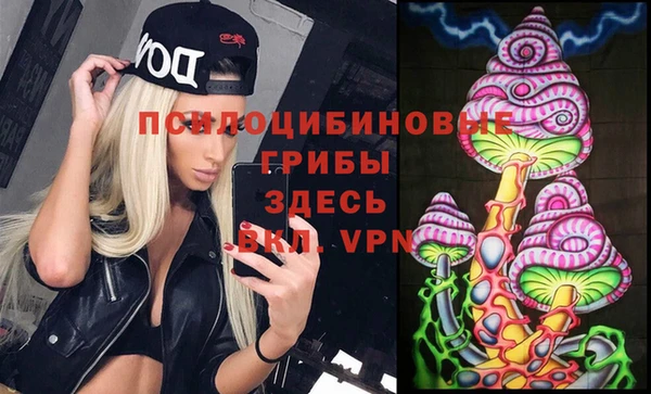 твердый Алексеевка