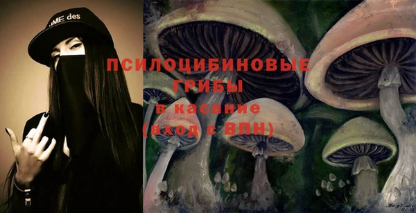 твердый Алексеевка