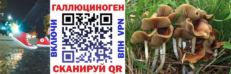 Псилоцибиновые грибы мицелий  Лагань 